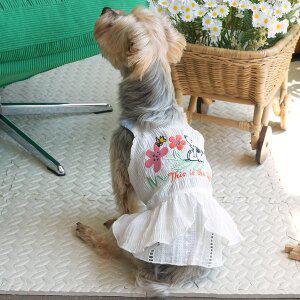 [패리스독] 피너츠 벨원피스 S-XL 시어서커의 시원하고 사랑스런 디자인 강아지원피스