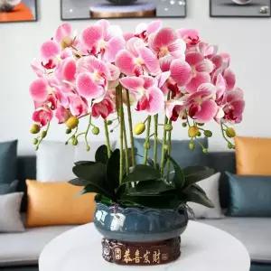 행운 호접란 서양란 가드닝 탁상용 키우기 조화화분 취임 장식