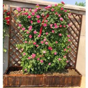 주택담장 전원주택 울타리 담장 테라스 목재 휀스 전원 팬스