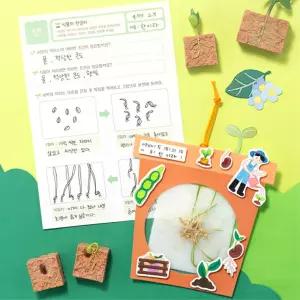 초등 간편 뿌리식물 관찰 키우기세트 한살이표본 과학교실 실습