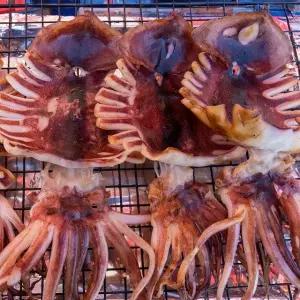 촉촉한 반건조오징어 10마리 중대(1.2kg)