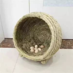 닭둥지 산란통 닭집 부화장 밀짚 사육장 메추리 둥지