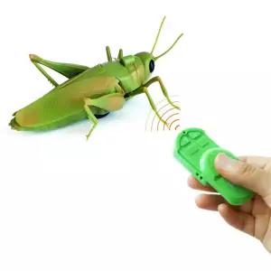 몰래카메라 벌레 무선조종 메뚜기 장난감 모형 조카 어린이날
