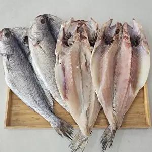 [장보리]국내산 손질 반건조 민어 4미