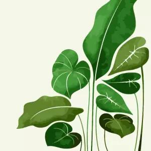 DIY 유화그리기 세트 40x50 몬스테라DIY액자 아이러브페인팅 그림그리기 그리기 만들기 취미생활 용품 그