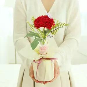 한송이 카네이션 선물 레드 카네이션 카네이션꽃 카네이션비누꽃 어버이날
