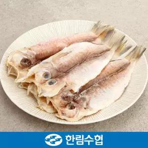 [제주 한림수협] 제주직송 실속 제주 옥돔 1kg(8∼12미 내외)