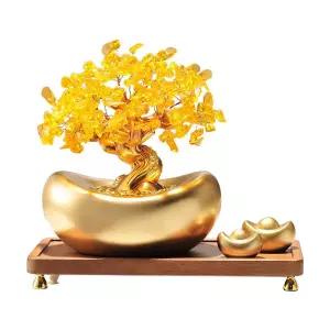 황금 금전수 돈나무 개업선물 사무실 화분 행운 개업축하 럭키트리