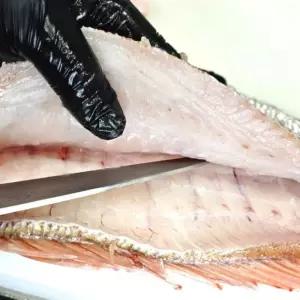 참돔 필렛  손질생선 자연산 순살 참돔회필렛 구이용 횟감용 200G 손질 도미