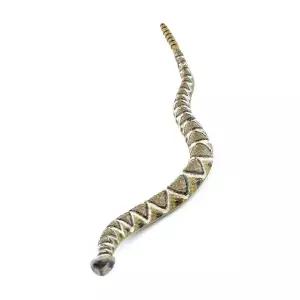 [하프클럽/브이와이]파포 동물 모형완구 방울뱀 장난감 50237