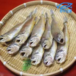 반찬용 참조기 반건조 국산참조기 10마리 굴비 구이 조림 매운탕 맛있는 생선 아기반찬