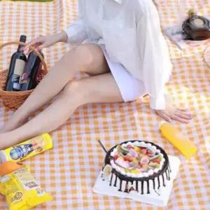 옐로우 체크 돗자리 캠핑돗자리매트 나들이매트 잔디돗자리