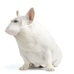 반려견 외출 마스크 3p 애견 산책 입마개 보호대