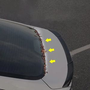 자동차 트렁크 씰 스트립 방수 방진 고무 스트립 후면 트렁크 웨더 스트립 잎사귀 비 눈 먼지 방지 범용 자동차