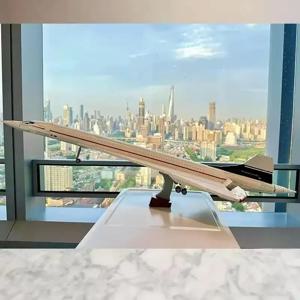 새로운 베스트셀러 모델인 우주왕복선 10318, 콩코드 초음속 여객기,는 어린이용 DIY 조립 장난감입니다.