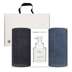(송월타월X생활공작소) 항균무지 세면타월 150g 2매 + 핸드워시250ml 선물세트 답례품 집들이 이사 자취