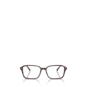 레이밴 안경 RX5431 8393 TRANSPARENT FANTASY VIOLET RED