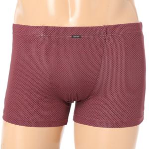 50데니아볼트론기능성남성드로즈팬티PT1967D