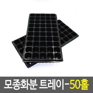 모종화분 트레이-50홀 이색포트 쟁반