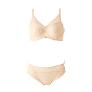 (비너스) 가슴전체 완벽커버 풀커버리지 브라+햄팬티-VBR1496AVPT1496H