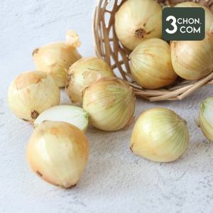 [삼촌밥먹자] 달큰한 무안 햇 양파(중) 3kg