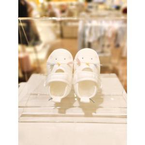 [쇼콜라] U용용이덧신 (2024년 청용띠 여름ver) TNNMXFU372W TNNMXFU372