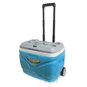 로이첸 피나클 아이스박스 30L (8588) -O 캠핑 아이스팩 보냉가방 보냉쿨러 아이스백 낚시 얼음박스 보냉 레저 아이스쿨러 얼음