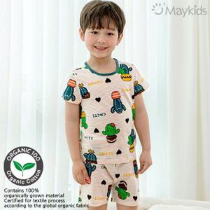 [메이키즈]그린선인장 오가닉 5부쟈가드