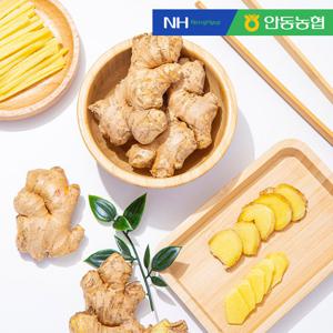 [안동농협] 품질보장 농협 흙 생강10kg