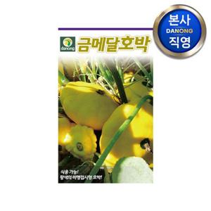 금메달 호박 씨앗 100립 . 야채 채소 텃밭 파종 재배 주말 농장 씨 종자.