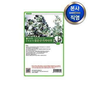 검은구기자 나무 씨앗 1.5g . 수목 식물 씨 종자.
