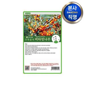 비타민 나무 씨앗 20g . 수목 식물 씨 종자.