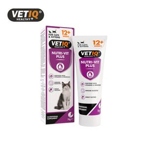 벳아이큐 뉴트리빗 플러스캣(종합영양제) 70g/고양이영양제