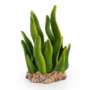 모모스 해초 모형 피규어 모형완구 과학완구 장난감 해양동물피규어 해양생물피규어 바다동물피규어 바다생물피규어 동물모형피규어