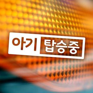 반전프레임 아기탑승중 자동차스티커 반사