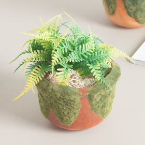 이끼 원형 화분 그린 10x7cm 조화꽃 전용 다육 인테리어 장식 소품 원예 용품