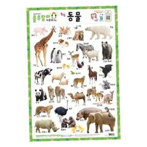 새샘 사운드벽보 룰루랄라 동물/520mmx765mm (1개)