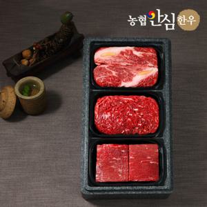 [농협안심한우] 1등급 감사혼합세트 (등심+불고기+장조림)/팩당400g/총1.2kg