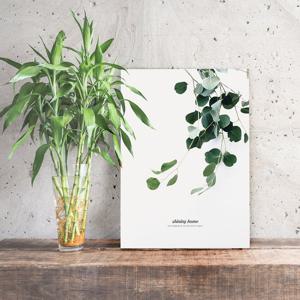 [샤이닝홈] 무드 접이식 액자테이블 800x600 유칼립투스S 밥상