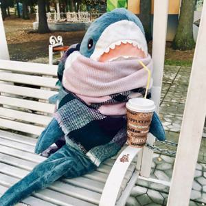 80cm 초대형 상어인형 동물 수면 애착쿠션선물