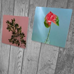 아트박스/꾸밈 ci647-스탠드액자2P_보테니컬아트