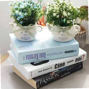 작은 도자기 화분에 담긴 안젤리카 주전자 화분