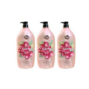 샤워메이트 프레시 바디워시 크랜베리1.2kg 3개