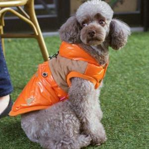 [반려] 강이지 고양이 패딩 패리스독 웨스턴