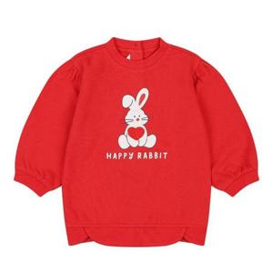 해피랜드 HC21 앙뜨티 빨강 h2523353