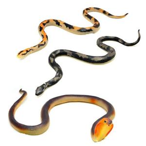 아트박스/데코앤 데코앤 소프트 뱀 (중)