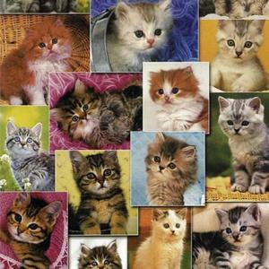 직소퍼즐 - 150피스 고양이 컬렉션