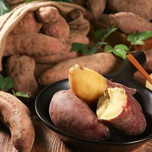 [자연품애 고구마]달콤한 해남 꿀고구마 5kg 한입 X 2박스