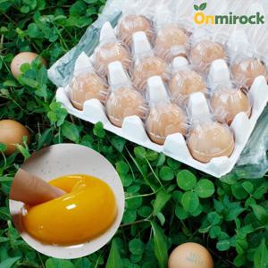 온미락 난각번호1번 유정란 자연방사 무항생제 계란 20구 파손보상 신선배송