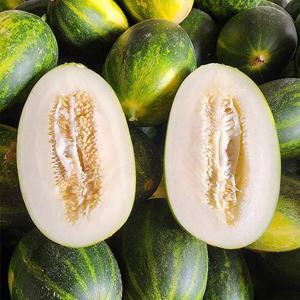 늘푸른 국내산 파파야메론 3kg